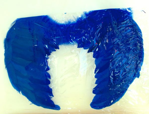 FEATHER WING MEDIUM - Image 8