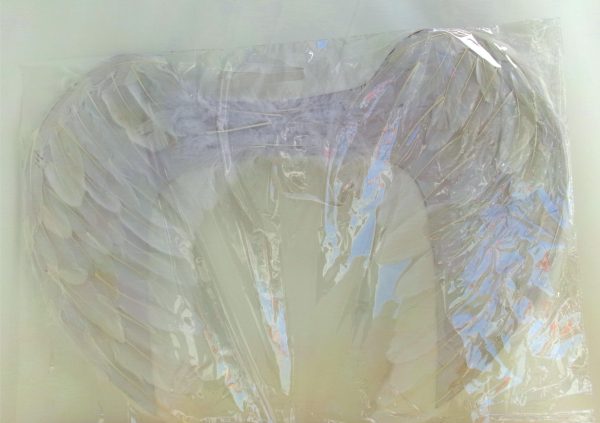FEATHER WING MEDIUM - Image 9