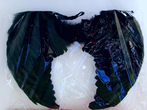 FEATHER WING MEDIUM - Image 3