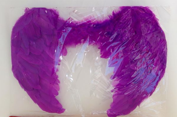 FEATHER WING MEDIUM - Image 7