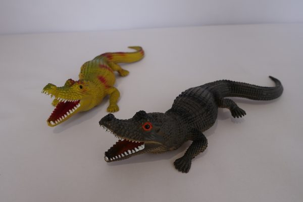 Alligator - Image 2