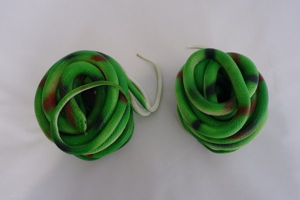 Snake - Image 2