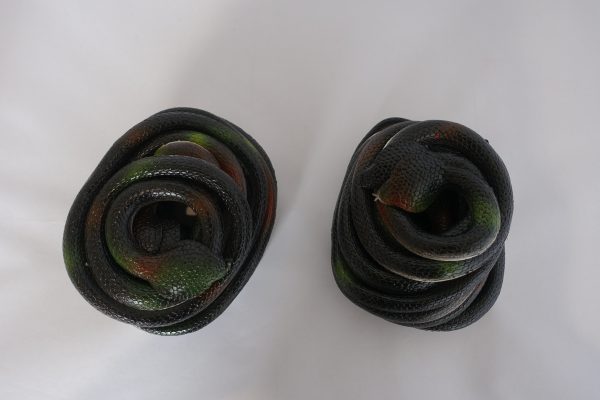 Snake - Image 5