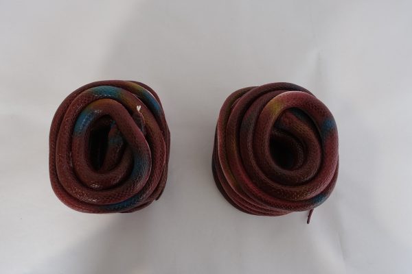 Snake - Image 4