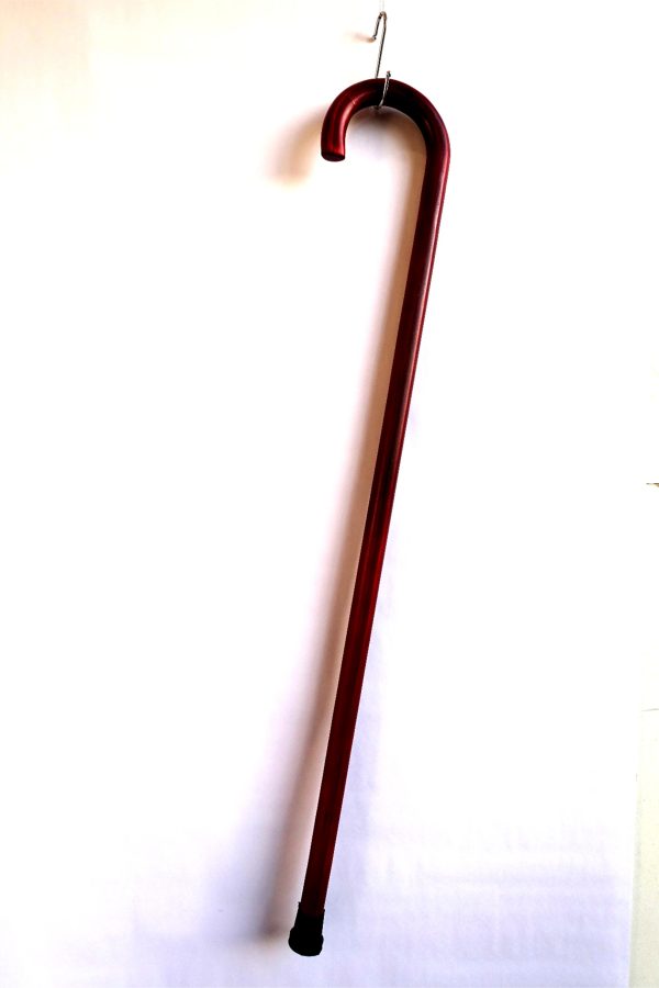 Walk stick