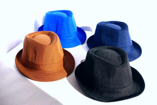 FEDORA - Image 2