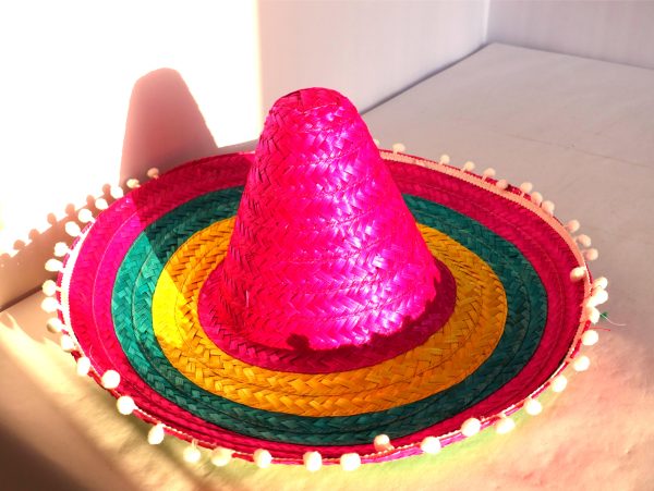 Rainbow stew hat