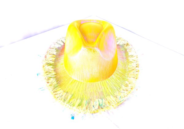 Cowboy hat - Image 4