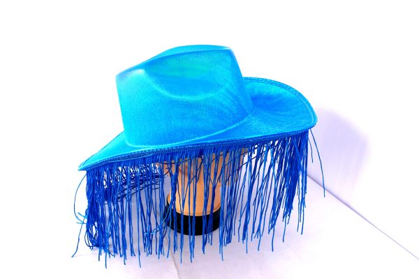 Cowboy hat