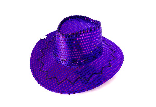 Sequin Cowboy hat - Image 7