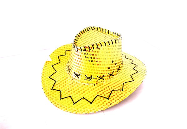 Sequin Cowboy hat - Image 8