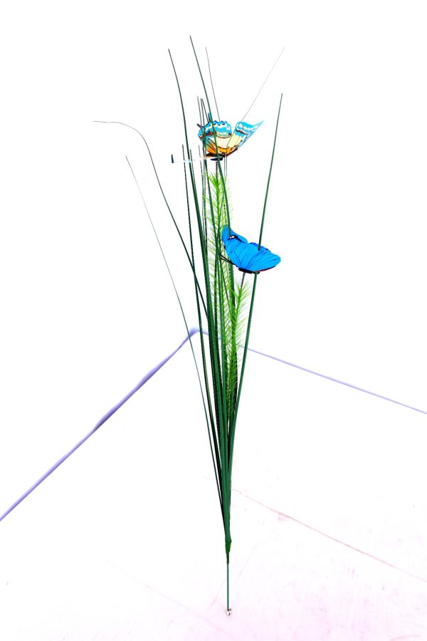 Graden wind mill peacock