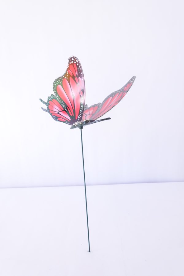 Graden windmill butterfly - Image 4