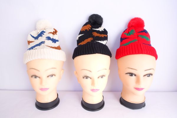 Kid Winter Hats DS22-3
