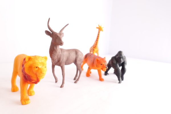 Animal Kingdom Toy Set