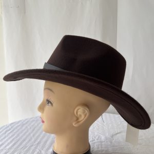 Cowboy Hat