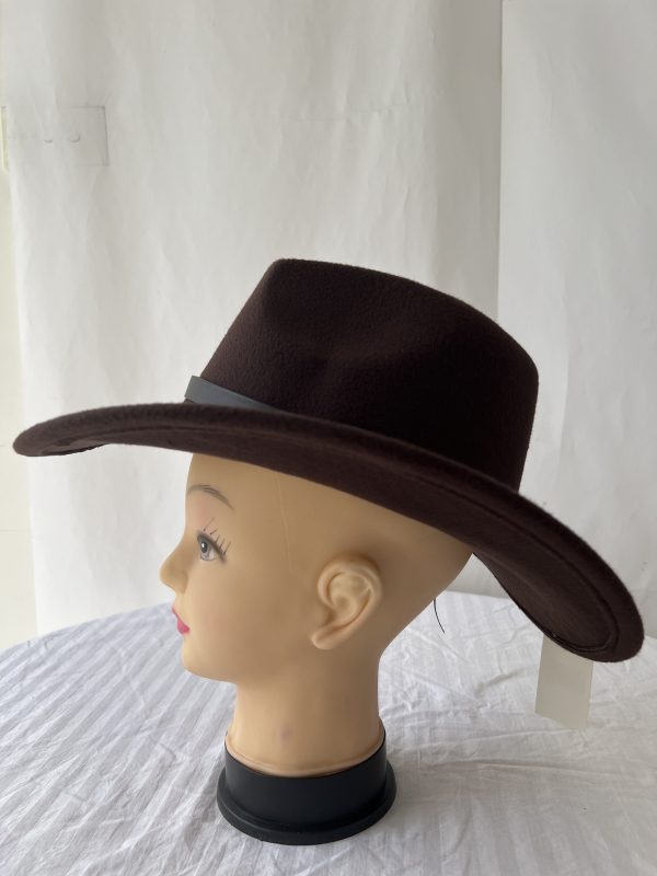 Cowboy Hat