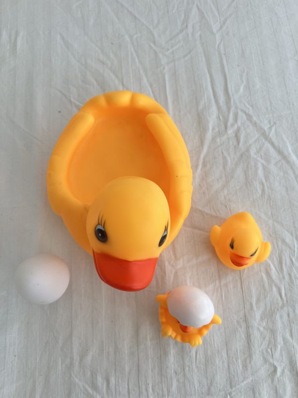 Bath duck with egg
