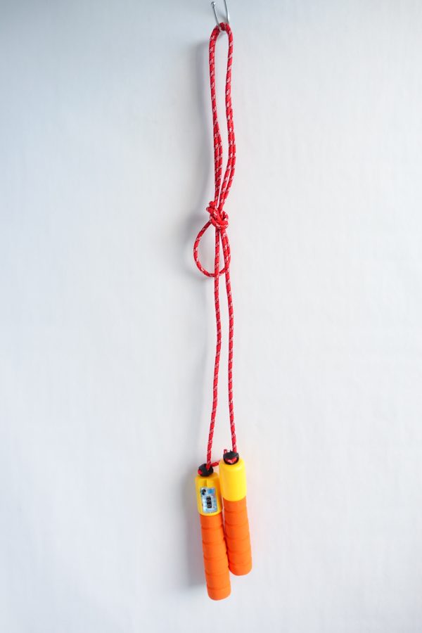 Jump Rope - Image 2