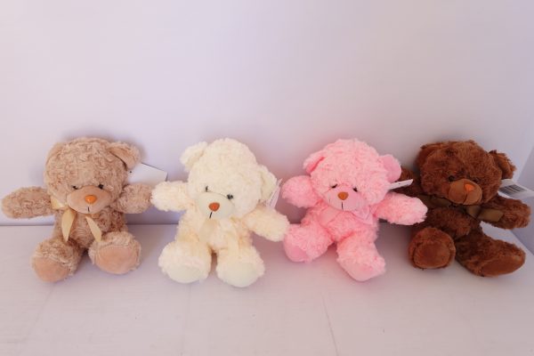 Small Bear Toy