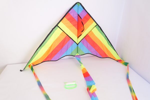 Kite