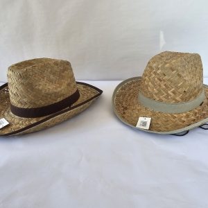 Straw Hat w/ Coloured Strip